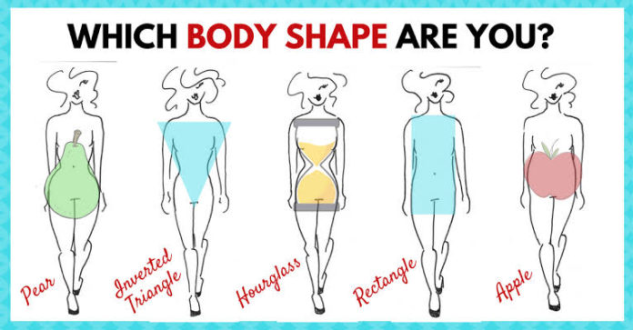 What is your body type? - Care Beauty