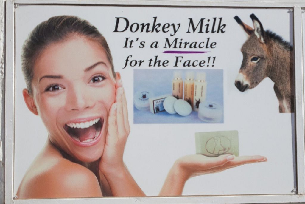 Donkey Milk Soap Benefits: Skin, Face and Hair