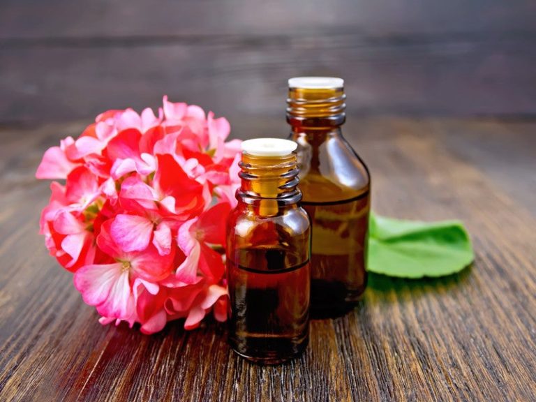 geranium-bourbon