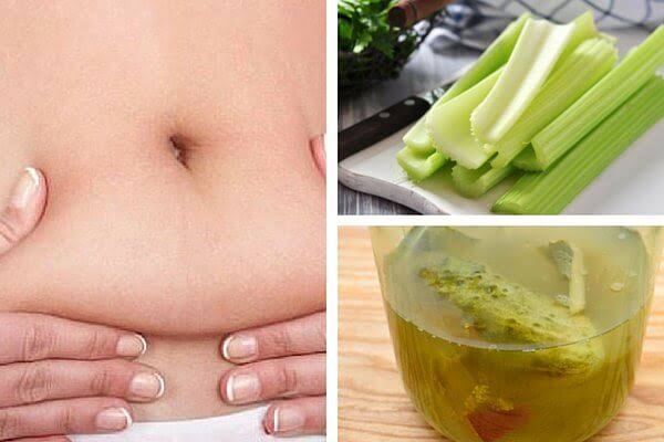 Celery for weight loss and recipes for slimming