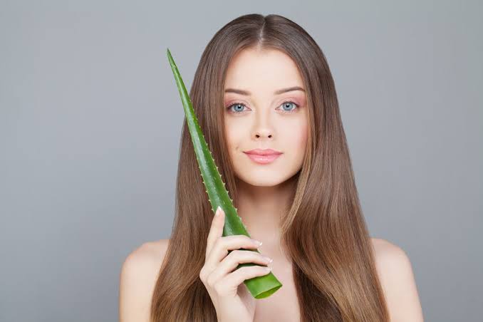 Aloe vera shampoo and its benefits for your hair