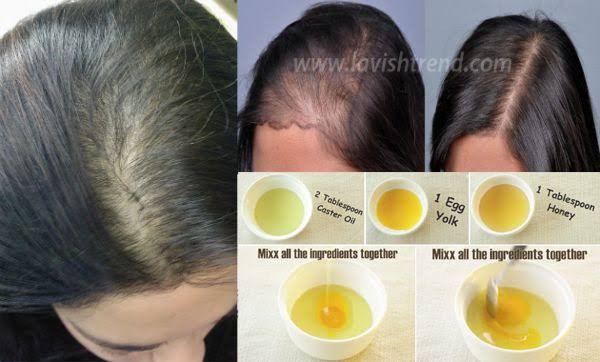 How to use egg oil to stop hair loss