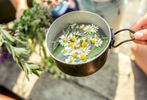 is-it-ok-to-drink-chamomile-tea-everyday