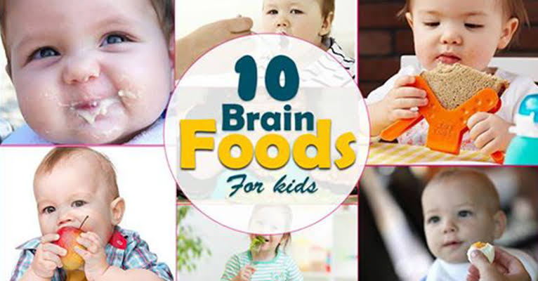 the most important foods for the development of the child’s brain