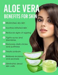 Benefits of aloe vera gel for skin and hair and its miracles