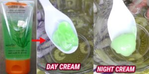 aloe-vera-diy-day-night-cream