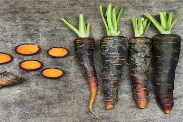 Benefits of black carrots Carrots