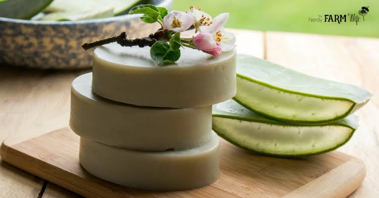 Aloe Vera Natural Soap for fresh skin