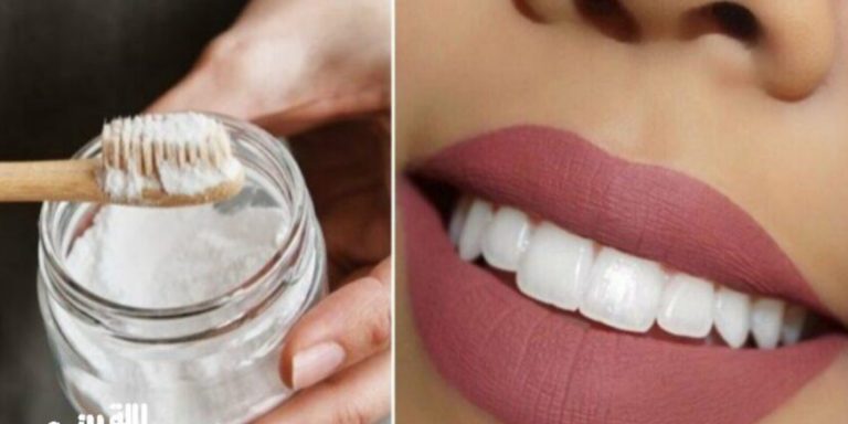 InShot_20230512_073538400