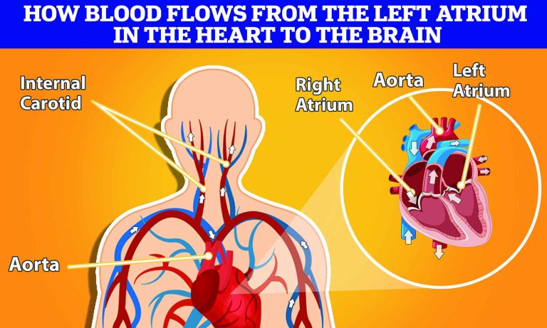 61261527-0-image-a-63_1660148598949