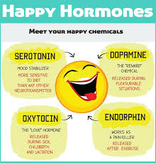 Happiness hormone
