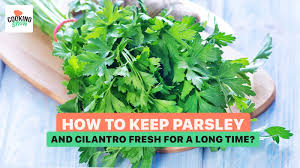 Parsley, Cilantro