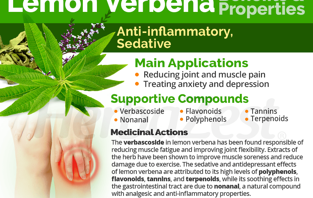 LEMON VERBENA