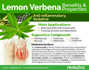 LEMON VERBENA