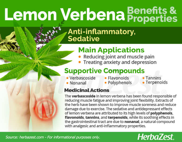 LEMON VERBENA