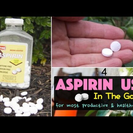 5 Surprising Uses for Aspirin