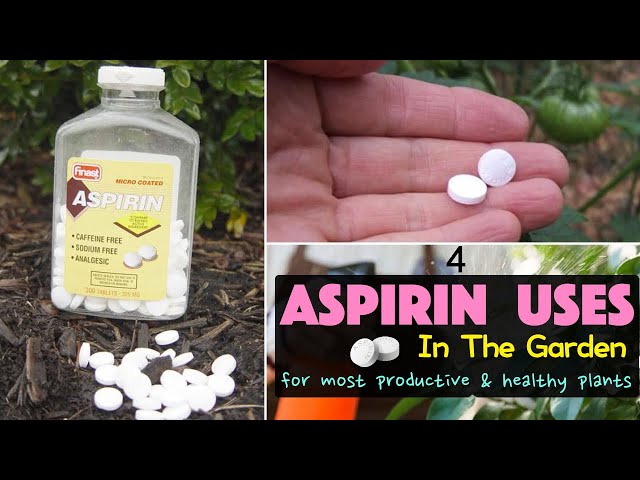 5 Surprising Uses for Aspirin