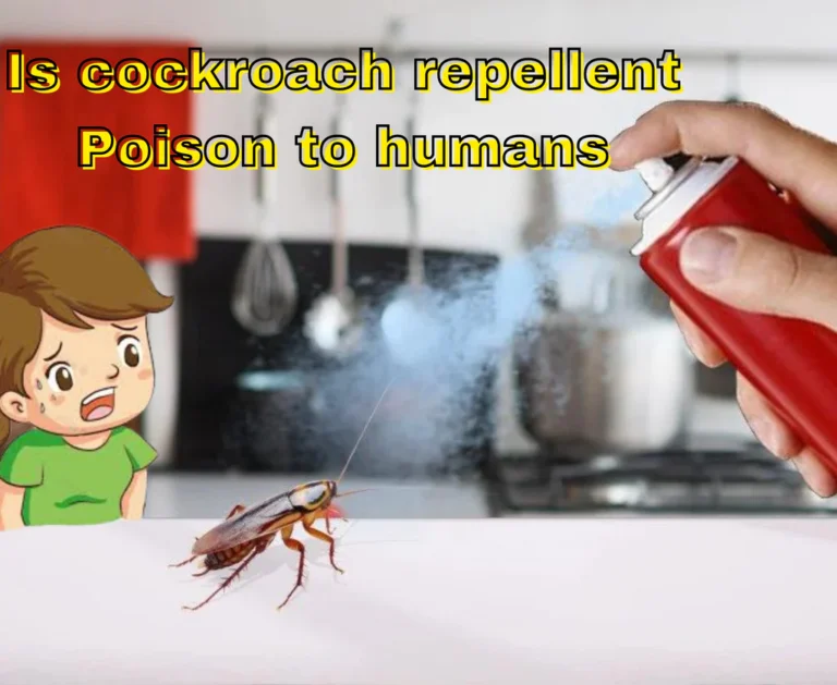 Why Shouldn’t You Kill Roaches In Your House?