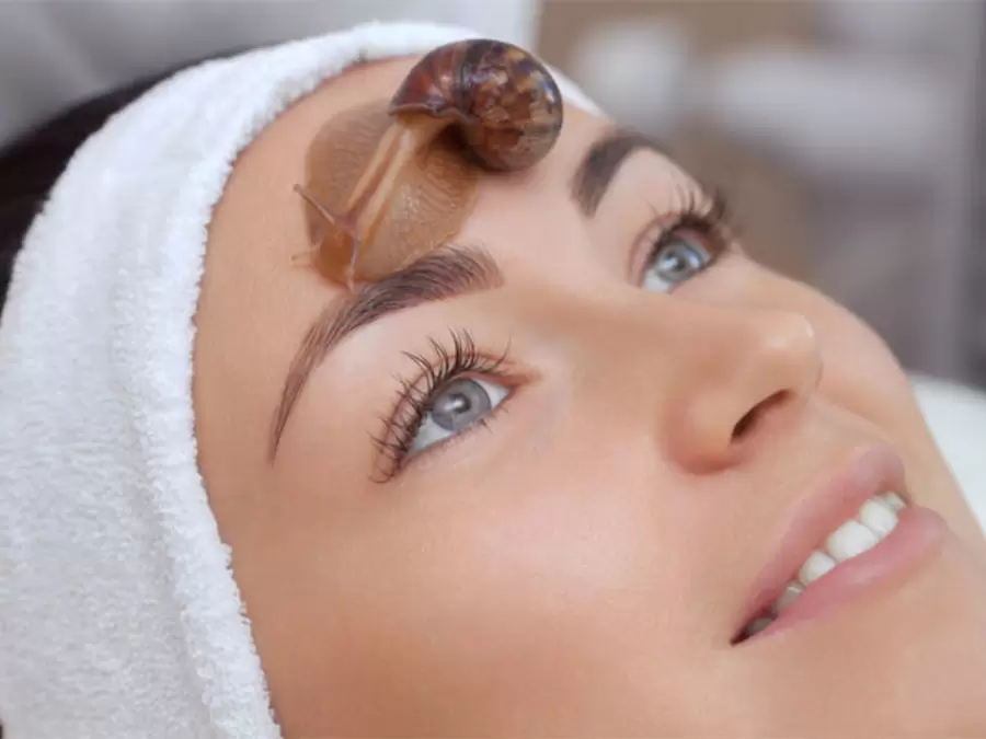Snail on the face to get rid of acne permanently