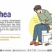 Diarrhoea: Causes, Symptoms, Treatment, and Prevention
