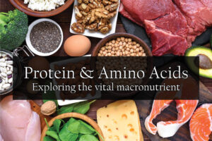 Proteins and amino acids