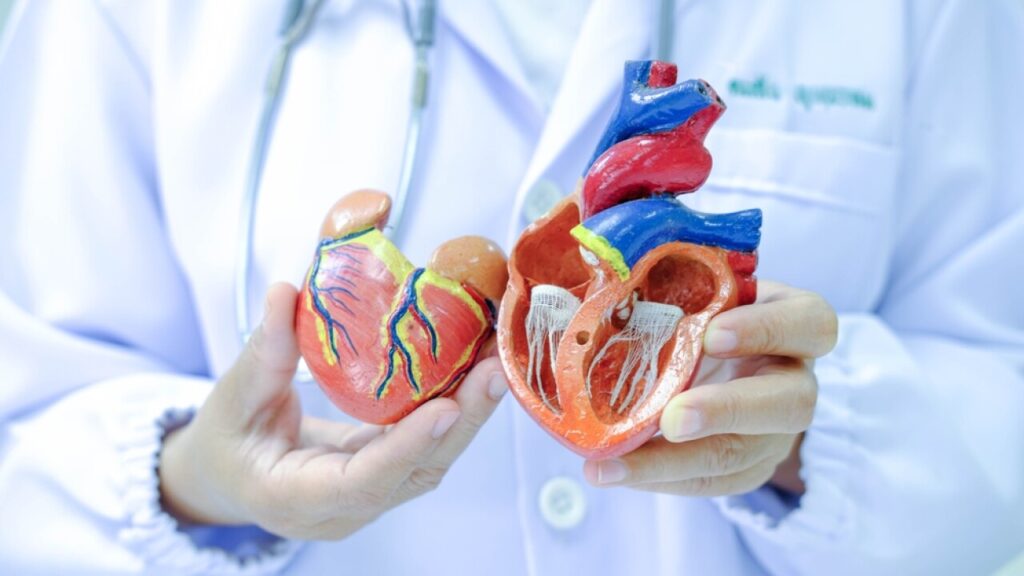 heart disease