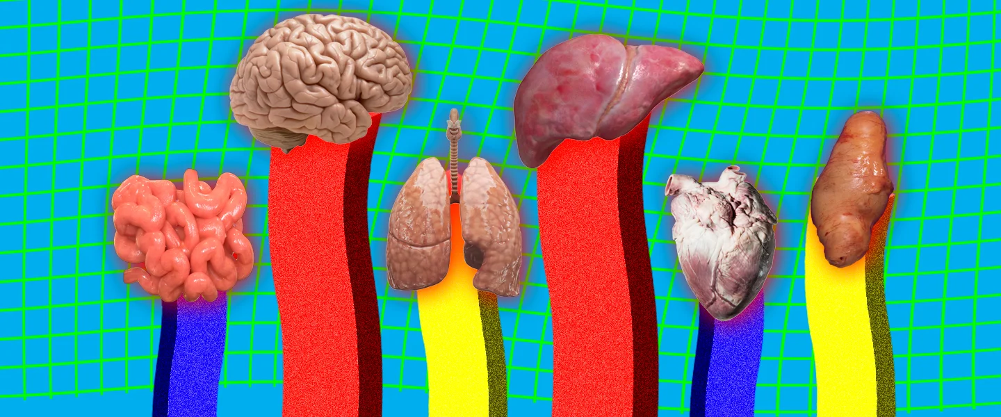 Organs you can live without
